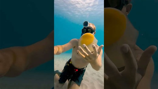 Cracking the world’s largest egg underwater