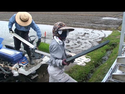 農業機械は高価ですが、なければ困る!!!!! 今年も順調にISEKIのPQZ43の田植機で田植えができて幸せ😊🚜
