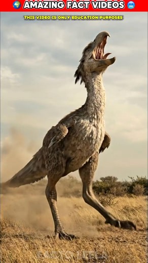 Top 3 Deadliest Birds That Once Ruled the Earth 🦅👍 #birds #factsinhindi #shorts