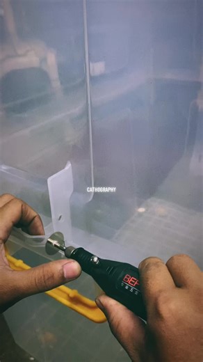 DIY SECURED LITTER BOX 👌👌 Goodjob Babies!!! #fbreelsfypシ゚viralシ #fbreelsfypシ゚viralfbreelsfypシ゚viral #fbreelsfypシ゚ #fb #viralreel #cat #catshirts #trendingreels