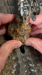 116K views · 4.6K reactions | Amazing bands and depth inside a cut Mexican agate! | Taylor’s Rocksmithery | Facebook