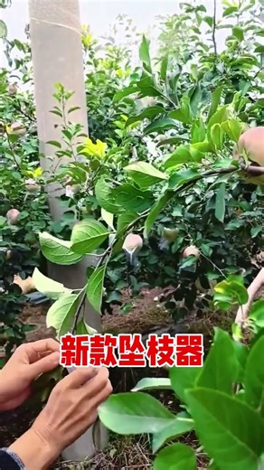 New models are here! With it #GardenTools #FruitTreePlantingEasy