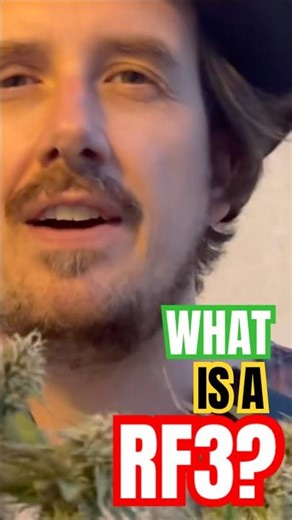 What is a RF3 Autoflower Strain?