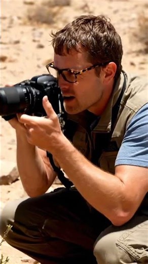 wild animals docomintory