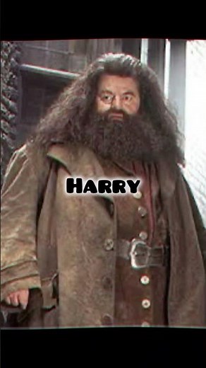 Harry Potter rap! (part 1) #k3SistersBand #harrypotter