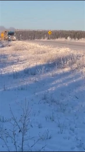 Patrick Tyson on Reels