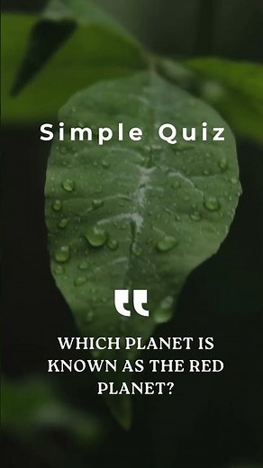 Simple Quiz 1