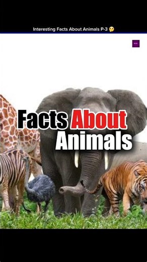 Interesting Facts About Animals P-3
