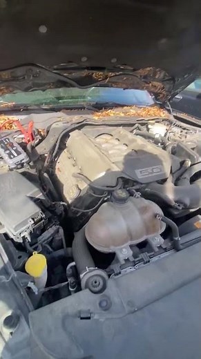 2016 Ford Mustang GT Premium Coupe