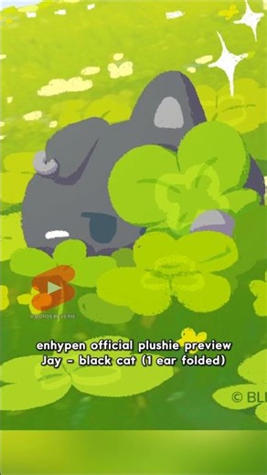 enhypen official animal plushie preview #Jungwon #Jay #Jake #Sunghoon #Sunoo #Ni_ki #enhypen #engene