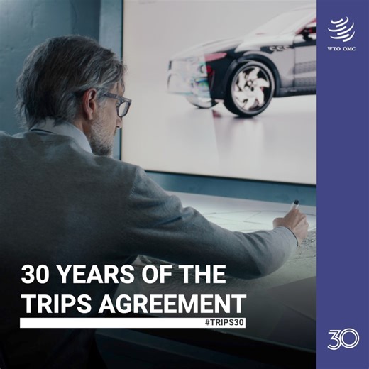 2K views · 33 reactions | On #WorldCreativityInnovationDay, we highlight how the WTO Agreement on Trade-Related Aspects of Intellectual Property Rights supports innovation by protecting ideas, creativity, and knowledge. Discover how #TRIPS has evolved over the years! | World Trade Organization - WTO | Facebook