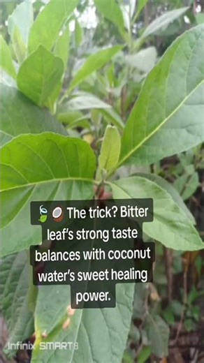 Discover the Amazing Health Benefits of Bitter Leaf: A Must-Know Herbal Remedy #creatorsearchinsight