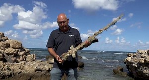 Israel: buzo encuentra una espada de un cruzado de hace 900 años (VIDEO)