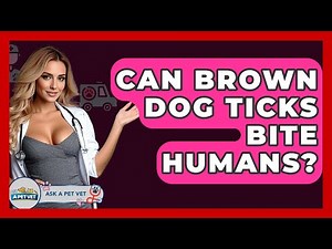 Can Brown Dog Ticks Bite Humans? - Ask A Pet Vet
