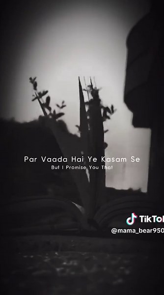 Melodic Journey: Arijit Singh's Dhun