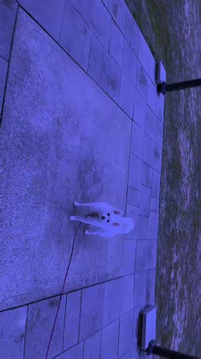 Cocothebunny159@ (@cocothebunny159)’s videos with BOO - H3adband