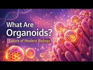 What are Organoids? Future of Modern Biology #organoids #biology #personalizedmedicine