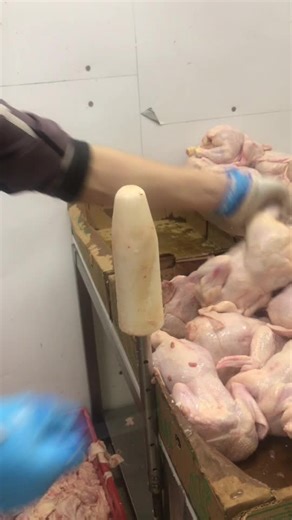 vardan1210 on TikTok