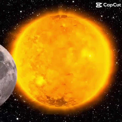 Wow, check out this incredible footage of yesterday's solar eclipse! We already knew adoptable cat Renaissance was great — now we know he's astronomical! 🌘#adoptme #felv #catsoftiktok #blackcat #eclipse