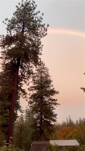 A blessing and a promise 💜 | Small Woods Farm