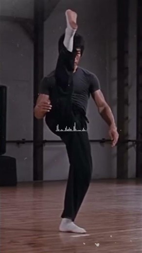 ,Bruce Lee légende