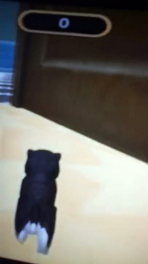 Mouse Squeak Sound #2