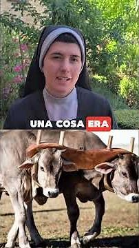 La solución para la ansiedad