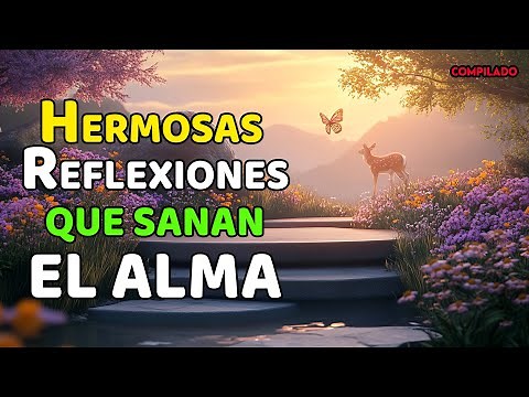 Life Reflections That Will Transform Your Day