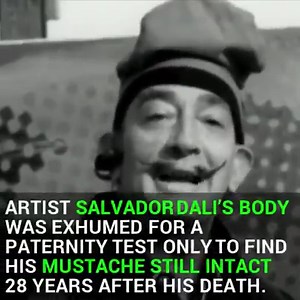 In a bizarre year, these stories stood out from the pack as the most bizarre of them all. Here are the stories that made us laugh, cringe, and scratch our heads in 2017. | WJZ-TV | CBS Baltimore