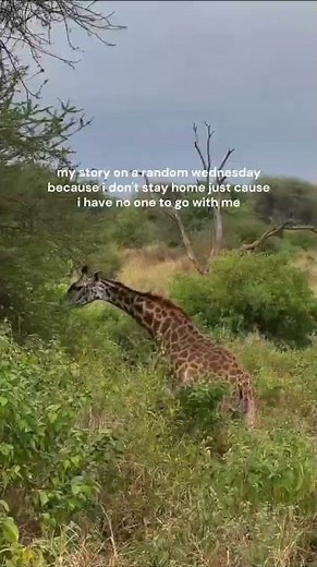 Exploring Tanzania's Wild Side, from I'm H. 🇹🇿