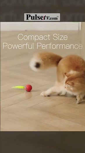 The Viral Cat Toy That Moves Like Real Prey
