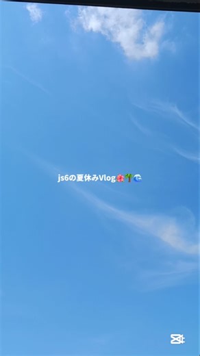 js6の夏休みVlog🌺🌴🌊#夏休み #vlog #js