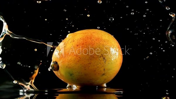 Super slow motion 4K footage of a mango splashing into water captured with high speed cinema camera at 1000fps isolated on black background perfect for dramatic culinary fruit and food stock videos