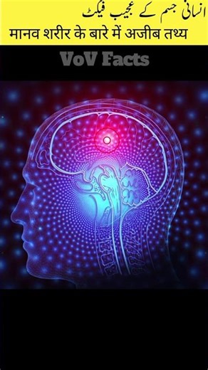 Top Shocking Facts About the Human Body #shorts