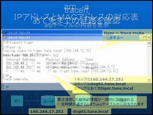 ネットワークコマンド：ping, arp, tracert, nslookup