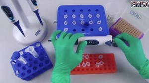 三分半搞懂BCA法定量蛋白浓度