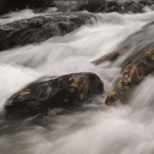 Why Care About Water