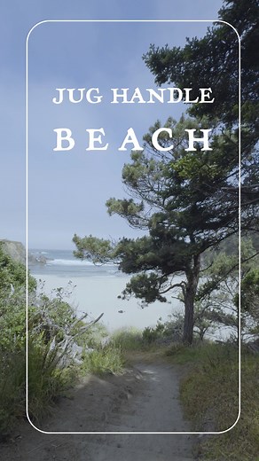 4.5K views · 148 reactions | Jug Handle Beach is just south of town...