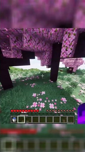 Minecraft : without sharders and with shaders