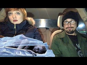 The Possession of Hannah Grace - Midnight Screenings Review