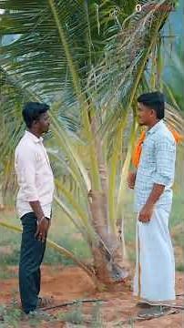 Coconut Farming Tips for High Yield | Smart Farming Guide #farmingtips #agriculture #farming