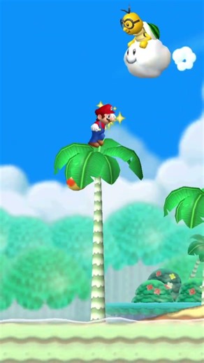 Flying Treasure Keeper RetroAchievements New Super Mario Bros Wii #retroachievements