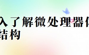 深入了解微处理器体系结构
