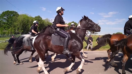 7.7K views · 148 reactions | Members of the Atlanta Police Department are at the newly constructed Atlanta Public Safety Training Center. Officers, alongside the Mounted Patrol Unit, are developing the skills necessary to effectively work with horses in the management of large crowds—strengthening our commitment to public safety and professional preparedness. #Atlgapd | City of Atlanta Police Department | Facebook