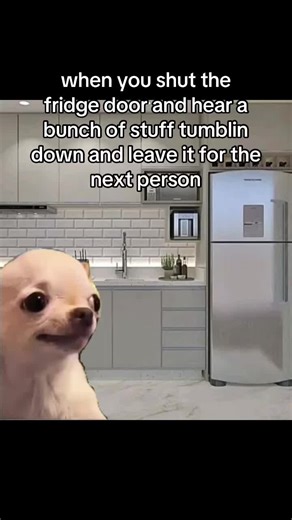 Couple Relatable Moments: Fridge Fails