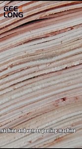 this is 4ft spindleless veneer peeling machine line. the wood log debarker machine is with gear type rollers. whatsapp:+86 15064931296 | Veneer peeling machine,plywood machine | Facebook