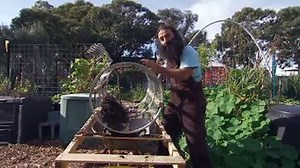 Costa's home-made compost sieve had a lot of attention this week! And you'll find instructions on our website here: http://www.abc.net.au/gardening/stories/s4561569.htm | Gardening Australia