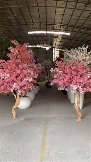 Magnolia Tree Blooming Season: Spring to Summer