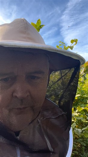 134 reactions · 9 comments | Supers above strong colonies! A “controlled clean” by the bees. They can take a week if they want. #mielleriedecorseul #beekeeperslife #beekeepersofinstagram #beefarmer #livingthedream #beekeeping #bretagne #corseul #france | Richard Noel | Facebook