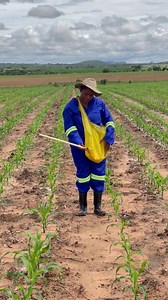 1.2M views · 27K reactions | CURRENT SETTINGS: Applying Ammonium...